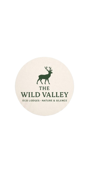 Wild Valley Ouirgane